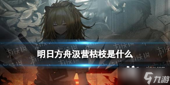 明日方舟汲营枯枝是什么