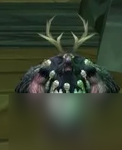 魔兽世界WLK鸟德输出详解