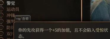 博德之门3法师搭配攻略 法师搭配什么法术好?