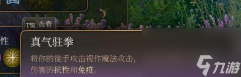 《博德之门3》散打僧怎样玩?散打僧工作玩法心得