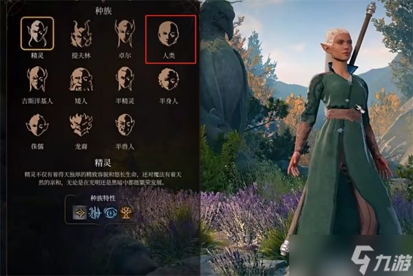 博德之门3法师什么种族合适