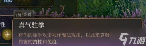 《博德之门3》散打僧怎么玩?散打僧职业玩法心得了解一下
