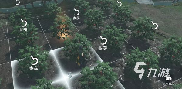 逆水寒手游闲趣玩法攻略 逆水寒手游闲趣玩法大全