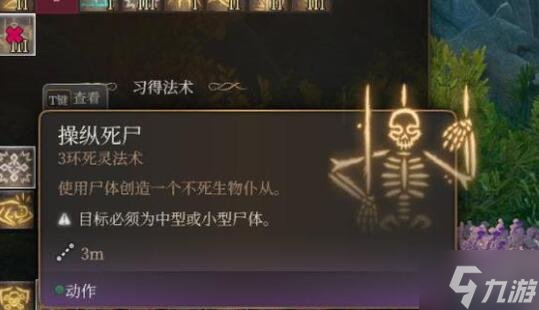《博德之门3》生命牧师怎么玩?生命牧师职业bd推荐速参考