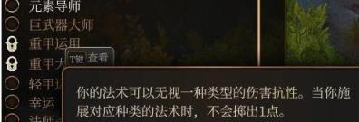 博德之门3法师搭配攻略 法师搭配什么法术好?