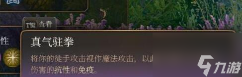 《博德之门3》散打僧怎么玩?散打僧职业玩法心得