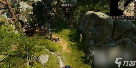博德之门3找到德鲁伊任务攻略一览