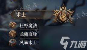 《博德之门3》子职业图详情 子职业图一览