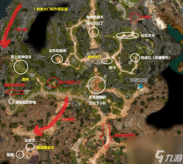 《博德之门3》碧绿林地地下通道在哪？碧绿林地外围探究关键