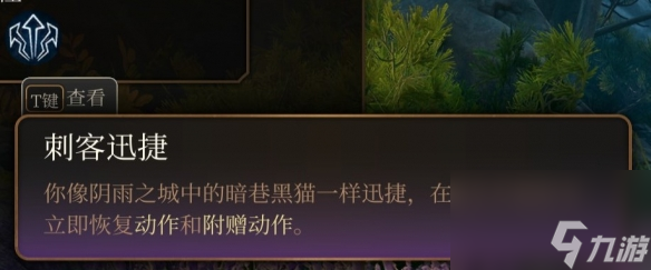 《博德之门3》游荡者副工作有几个？游荡者工作介绍