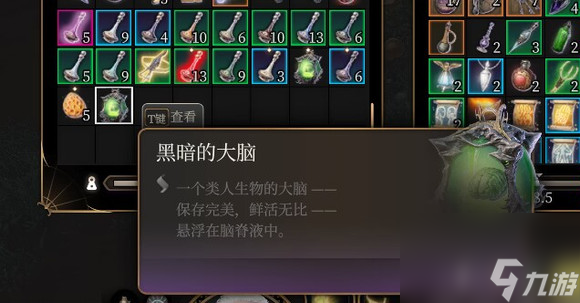 《博德之门3》黑暗的大脑有什么用？ 黑暗的大脑作用介绍