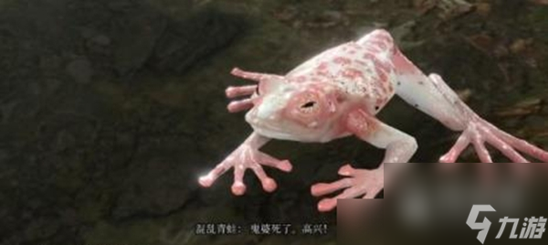 博德之门3混沌蛙奖励获得方法指南
