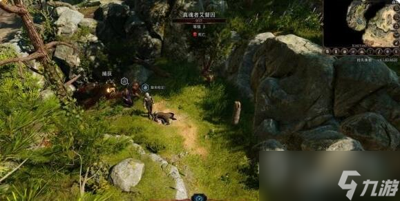 博德之门3找到德鲁伊任务流程