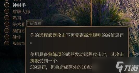 《博德之门3》盗贼武器配装推荐 盗贼双手弩射爆流bd分享