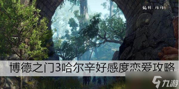 博德之门3哈尔辛好感度恋爱攻略