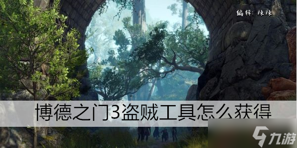 博德之门3盗贼工具怎么获得