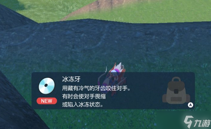 宝可梦朱紫冰冻牙技能机获取位置一览