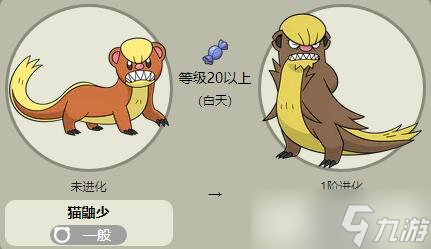 宝可梦朱紫猫鼬探长怎么样
