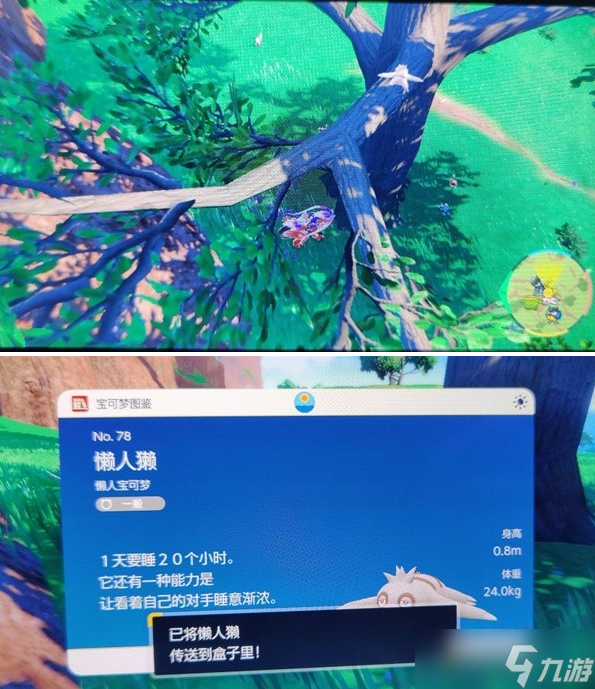 宝可梦朱紫懒人獭捕捉位置