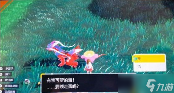 《宝可梦朱紫》怎么孵蛋 孵蛋系统介绍
