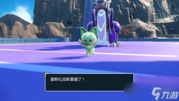 《宝可梦朱紫》双打对战队伍搭配思路 双打对战连胜队伍怎么选?