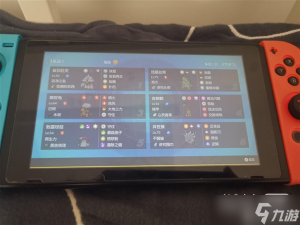 《宝可梦:朱紫》双打空间晴沙队配置一览