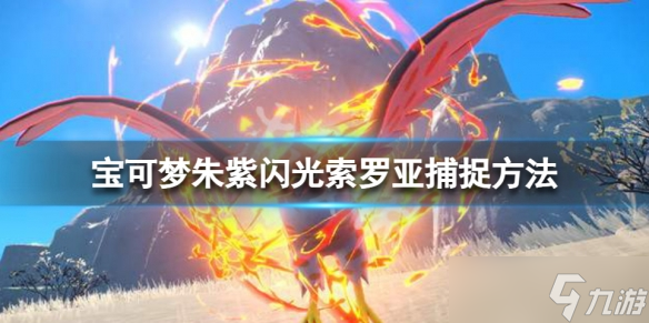 《宝可梦朱紫》闪光索罗亚在哪抓？闪光索罗亚捕捉方法