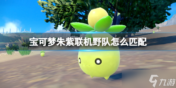 《宝可梦朱紫》联机野队怎么匹配?六星坑宝可梦努力值技能搭配