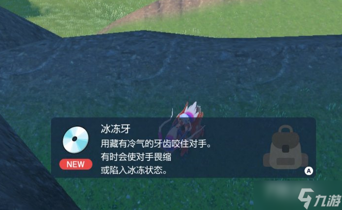 《宝可梦朱紫》冰冻牙技能机获取位置一览