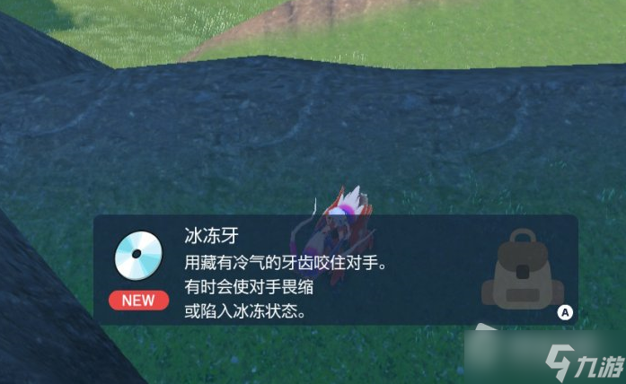 《宝可梦朱紫》冰冻牙技能机获取位置一览