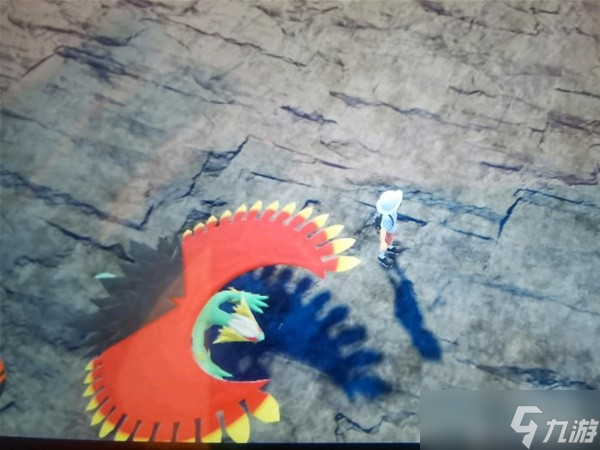 《宝可梦朱紫》刷闪光轰鸣月教程 闪光轰鸣月怎么刷？