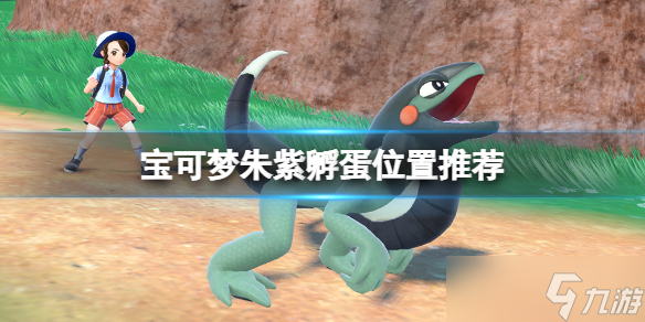 《宝可梦朱紫》孵蛋在哪孵?孵蛋位置推荐