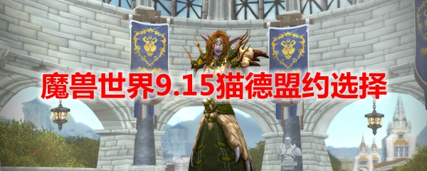魔兽世界9.15猫德盟约选择