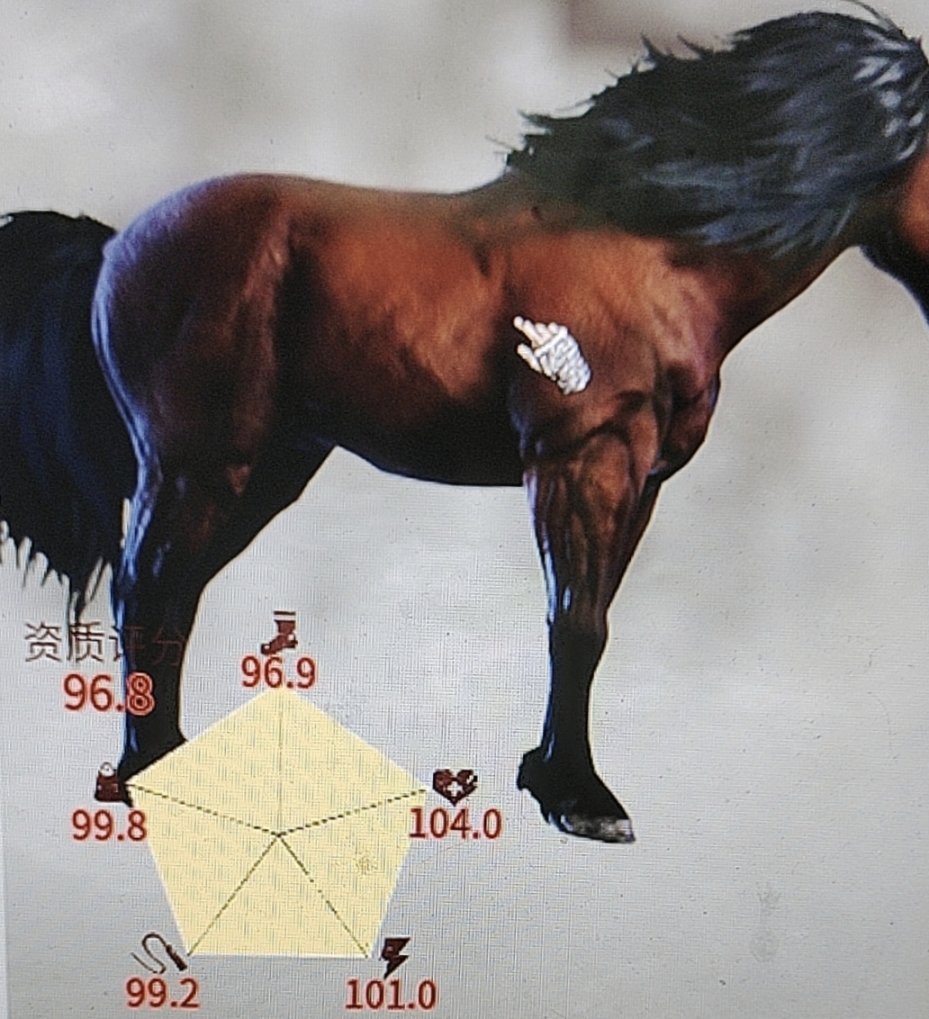 帝国神话高品质马匹怎么获得