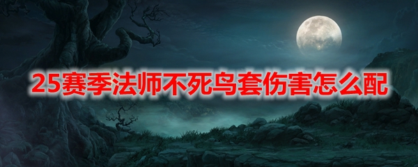 暗黑325赛季法师不死鸟套伤害怎么配