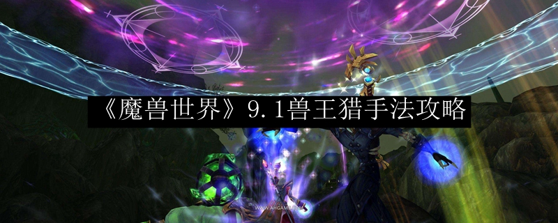 《魔兽世界》9.1兽王猎手法攻略