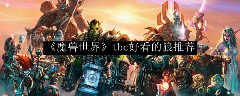 《魔兽世界》tbc好看的狼推荐