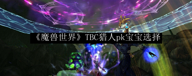 《魔兽世界》TBC猎人pk宝宝选择
