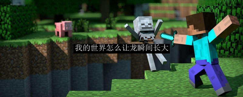 我的世界怎么让龙瞬间长大