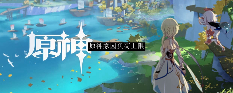 原神家园负荷上限