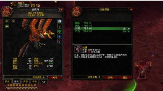 魔兽世界tbc怀旧服猎人升级带什么宠物