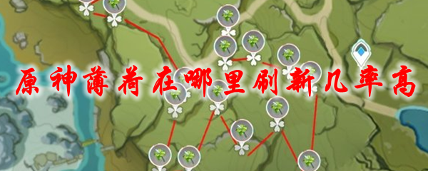 《原神》薄荷在哪里刷新几率高
