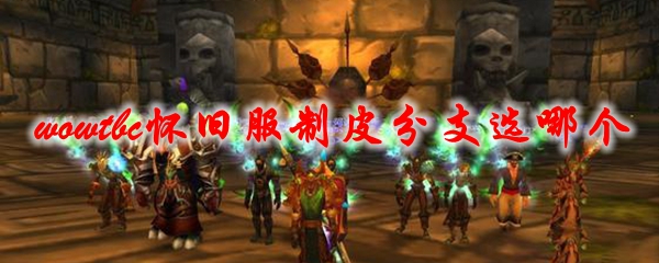 魔兽世界tbc怀旧服制皮分支选哪个