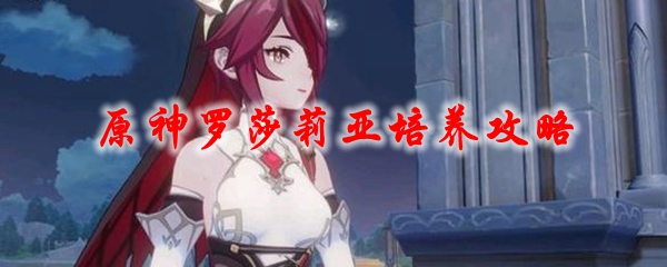 原神罗莎莉亚培养攻略