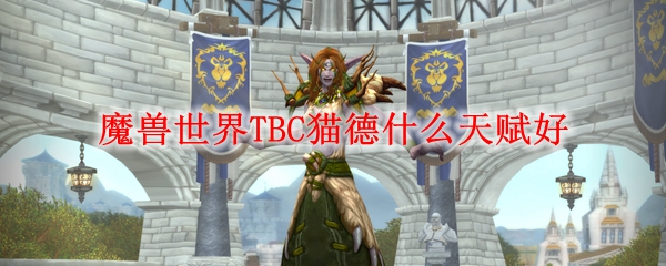 魔兽世界TBC猫德什么天赋好