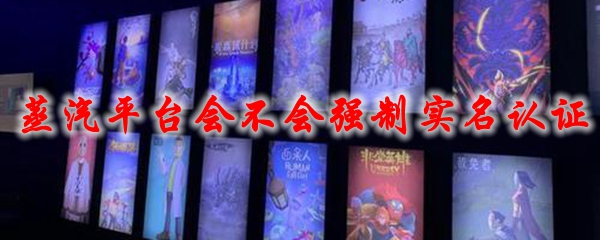 蒸汽平台会不会强制实名认证