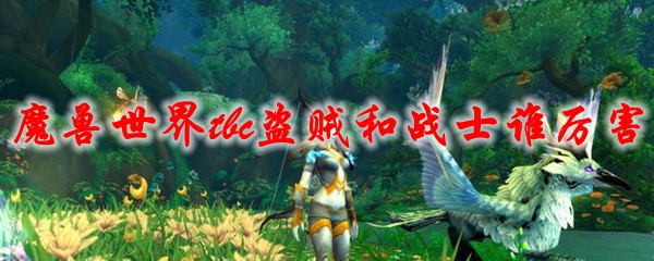魔兽世界tbc盗贼和战士谁厉害