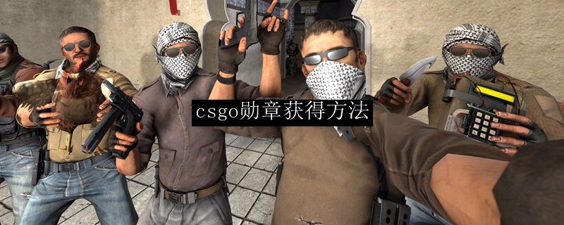 csgo服役勋章怎么得