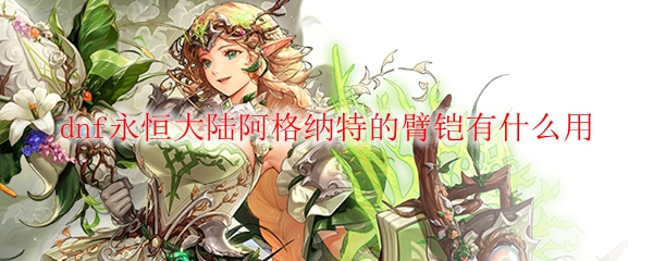 dnf永恒大陆阿格纳特的臂铠有什么用