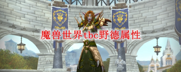 魔兽世界tbc野德属性
